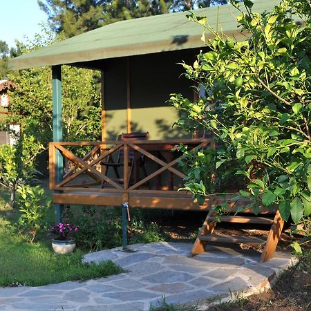 Hobbit Evi Hotel Çıralı Phòng bức ảnh