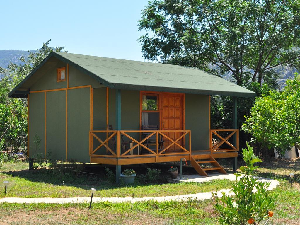 Hobbit Evi Hotel Çıralı Phòng bức ảnh